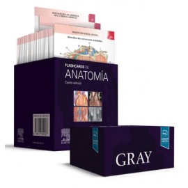 Gray. Flashcards de Anatomía 9788413820187